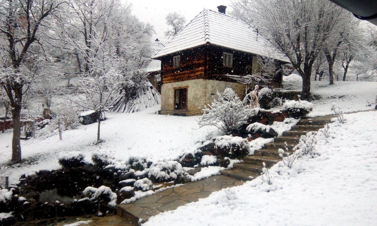 Vacation Home Nana Mokra Gora Extérieur photo