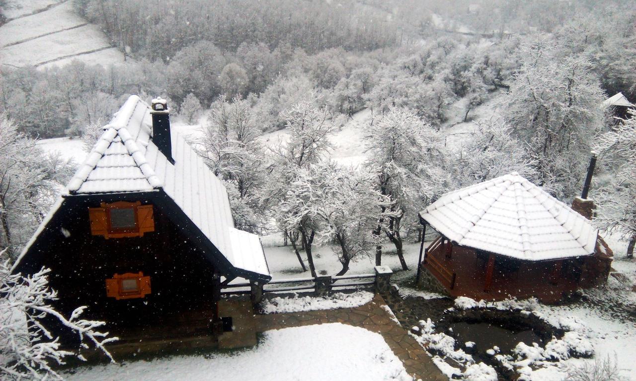 Vacation Home Nana Mokra Gora Extérieur photo