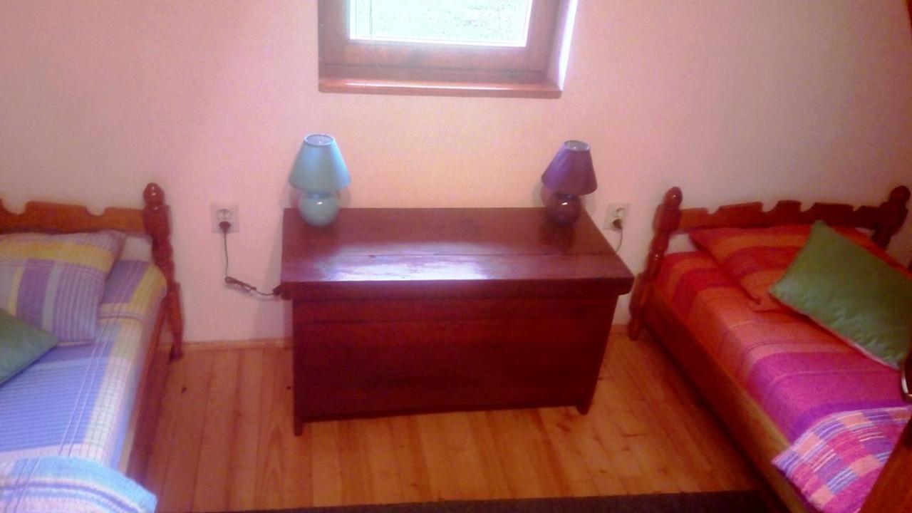 Vacation Home Nana Mokra Gora Extérieur photo