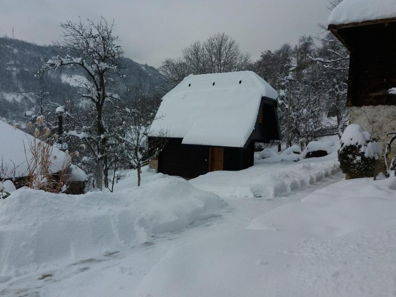 Vacation Home Nana Mokra Gora Extérieur photo
