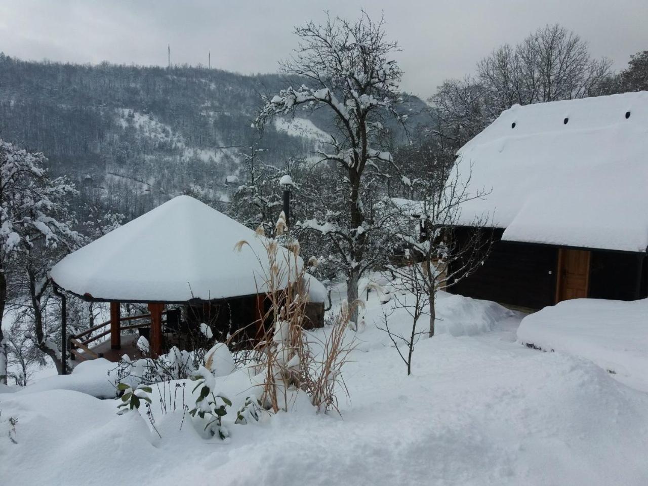 Vacation Home Nana Mokra Gora Extérieur photo